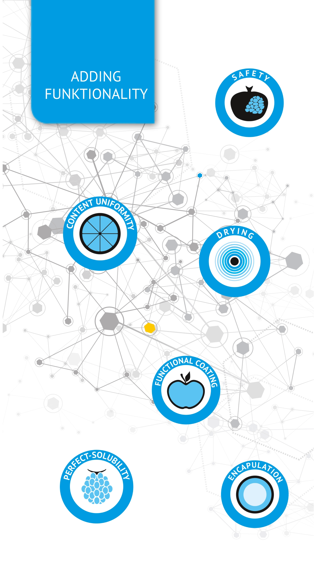 Adding Functionality to bulk ingredients - particle design options for improved product formulations