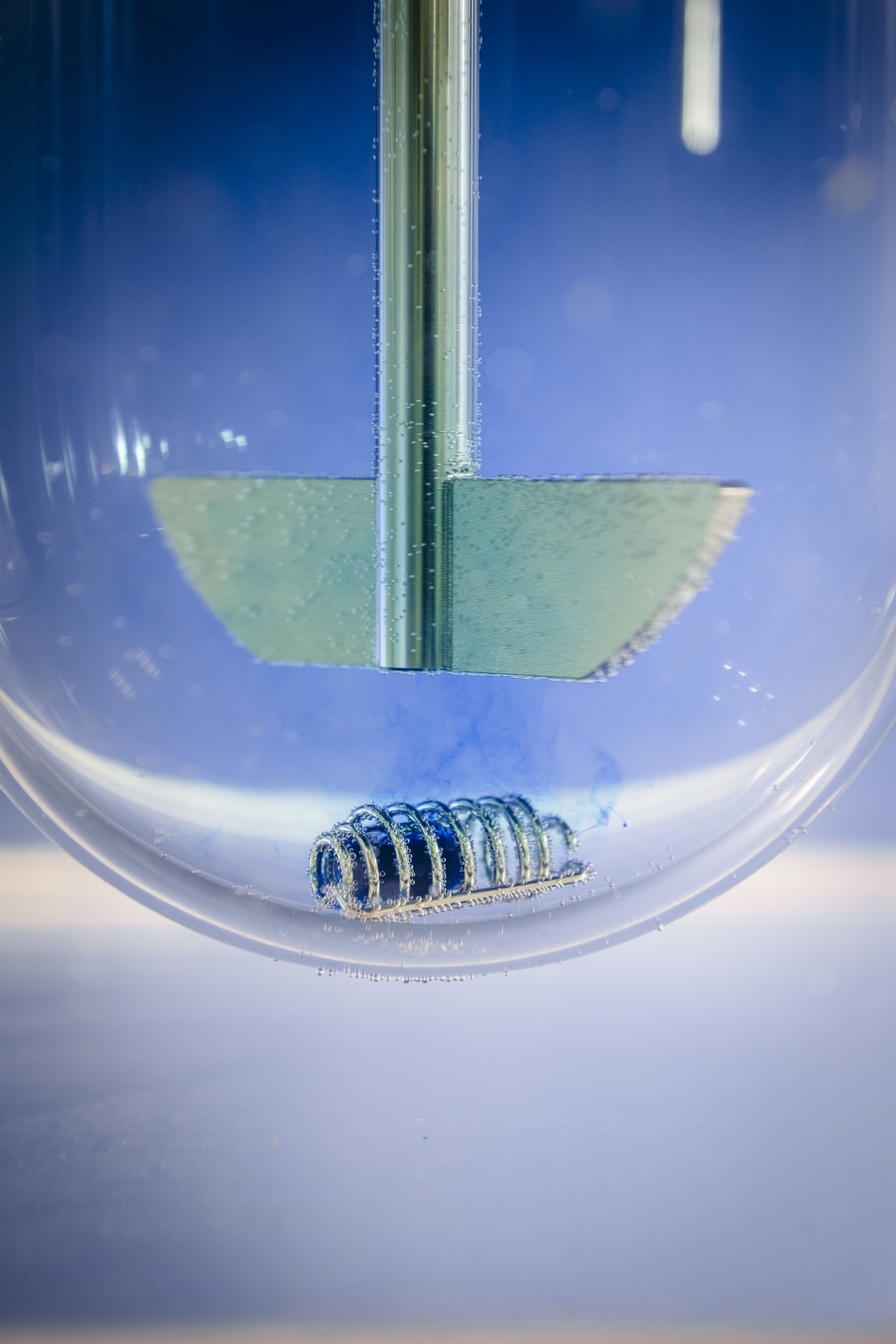 gelwoRx Dsolve Portfolio for fast dissolution and reduced crosslinking of soft caps