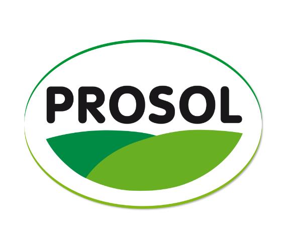 Prosol S.P.A.