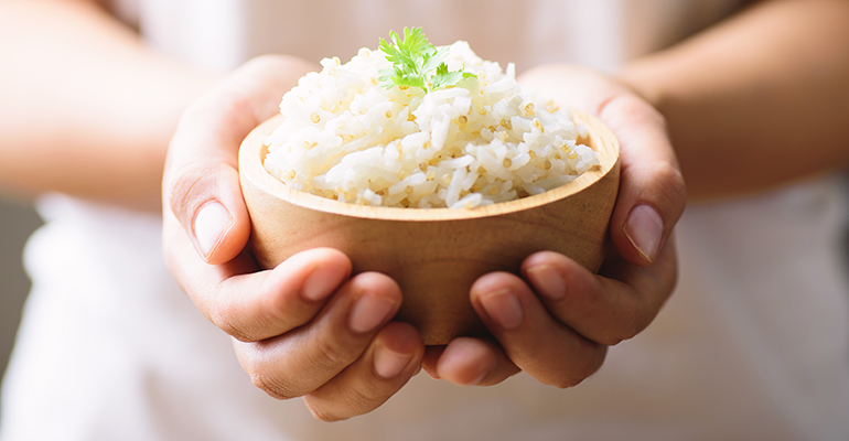 Singapore start-up ‘makes bad carbs good’ with plant-based fibre blends