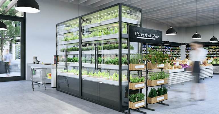 Babylon MicroFarms Closes $3M Seed Round