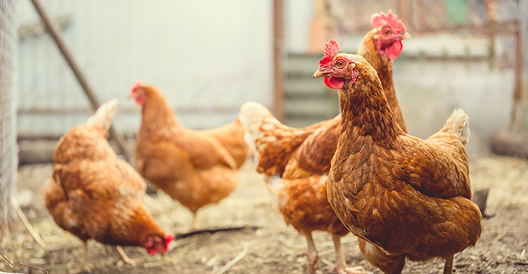 Alaska takes on 21 companies in a $1 billion price-fixing lawsuit