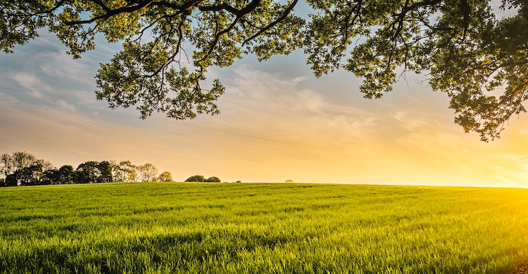 PepsiCo announces plans to reduce global GHG emissions by 3M tons