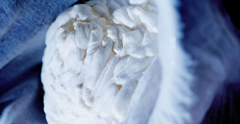 German fermented dairy startup rebrands, announces first product