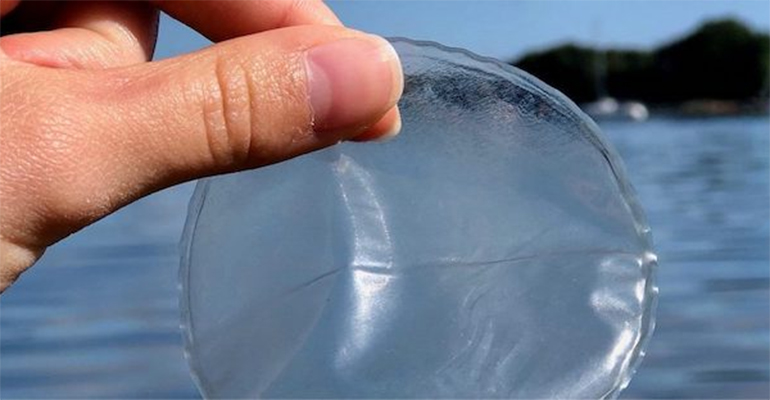 Oceanium Raises $2.7M to fund seaweed-based sustainable initiatives