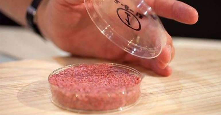 Cultivated meat firm Magic Valley to be first in cultivated lamb