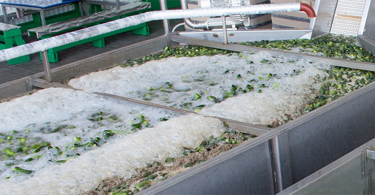 WEBINAR: Foam In Food Production - Where Foam Evolves and How to Fight it