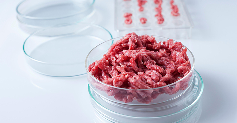 Meatable and Royal DSM join together for affordable cultivated meat
