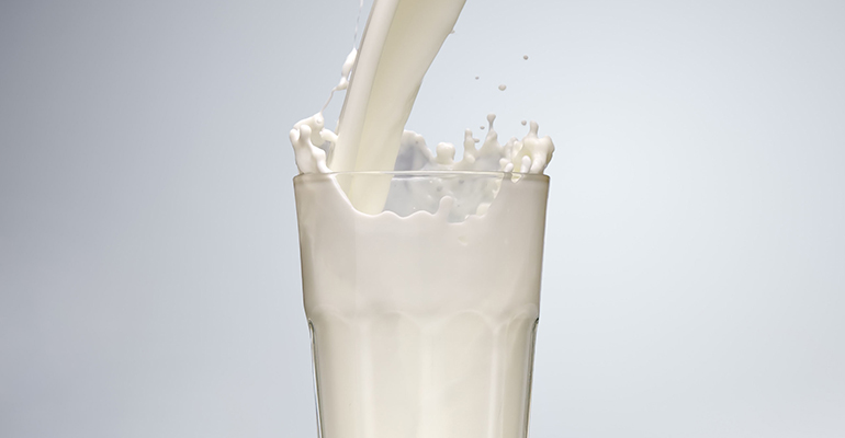 EU approves exported camel milk for another year