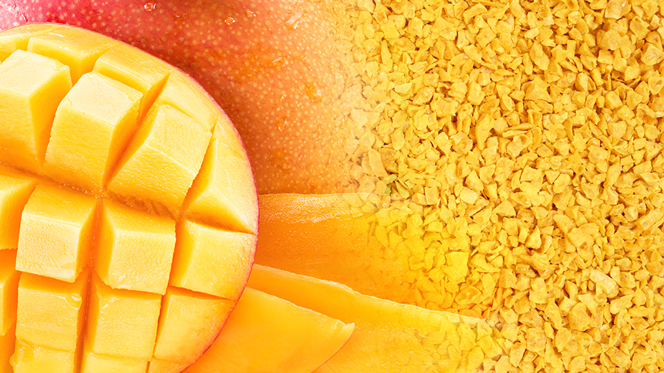 GutHealthHEROES: Natural and innovative product solutions for gut health