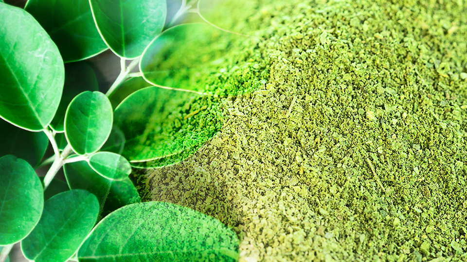 EnergyHEROES & MentalHEROES – It`s time to revitalise