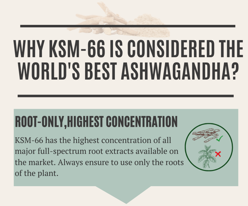 Why KSM-66 is considered The World's Best Ashwagandha?