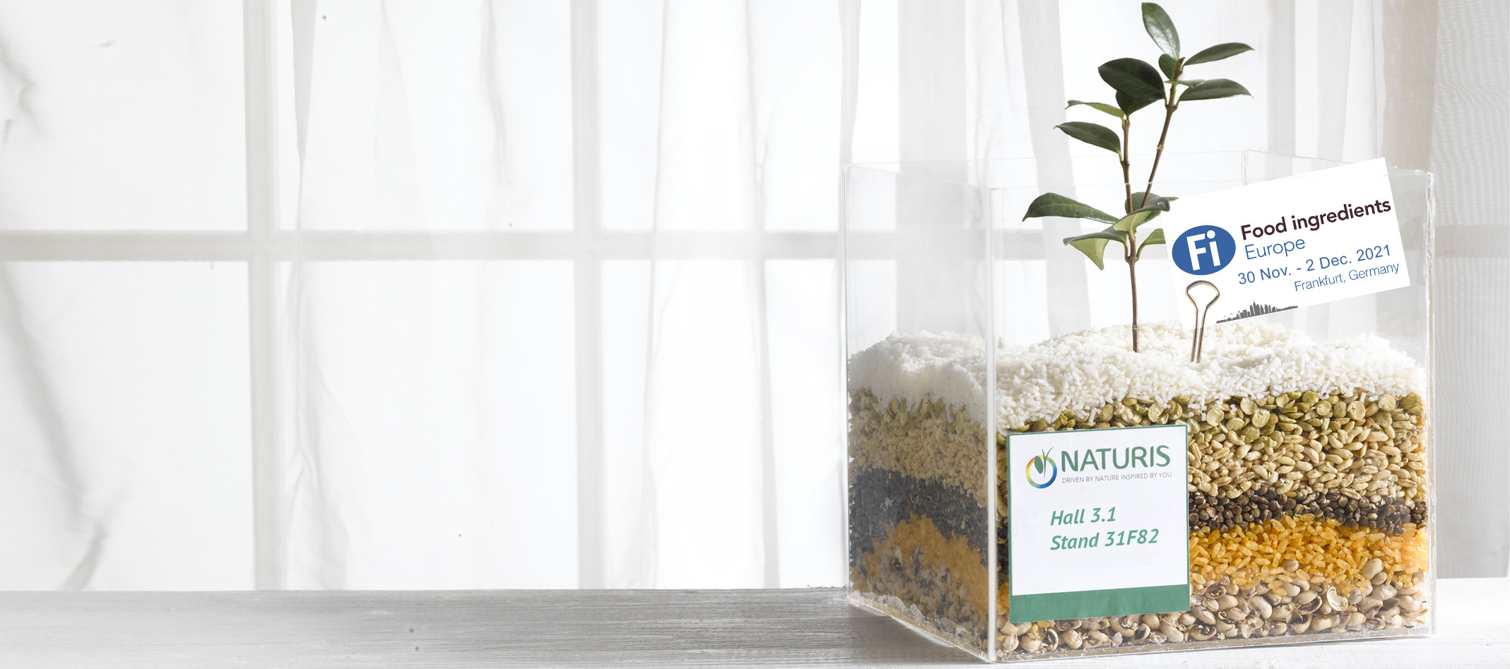 A 2021 full of innovations!