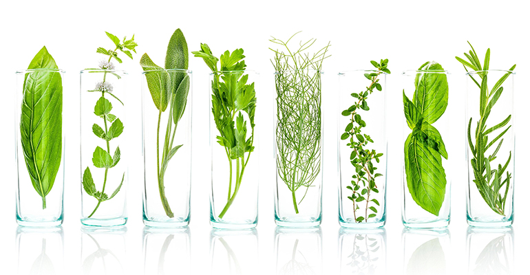 B.T. Sweets launches botanical sugar alternative