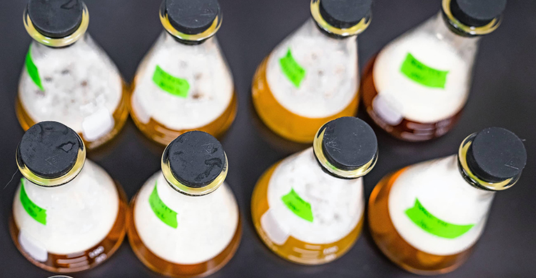 Biotech start-up Shiru to scale up alt-food ingredients