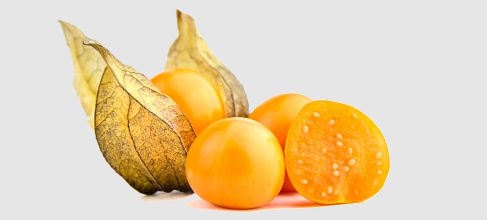 Goldenberry: Superfood Gold from Peru