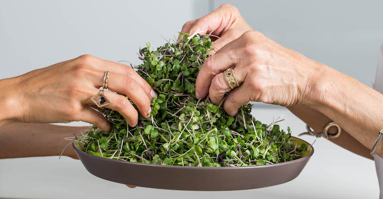 World’s largest indoor vertical farm planned for construction in US