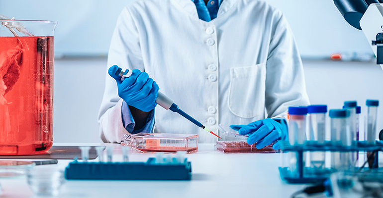 China announces an agricultural plan that includes cultivated meat