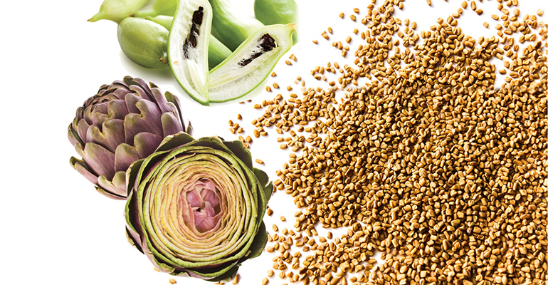 OMEOLIPID® -for lipid metabolism