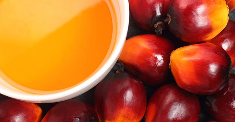 Indonesia bans palm oil exports, prices surge