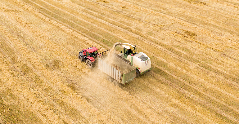 War in Ukraine results in pronounced effects on plant-based market