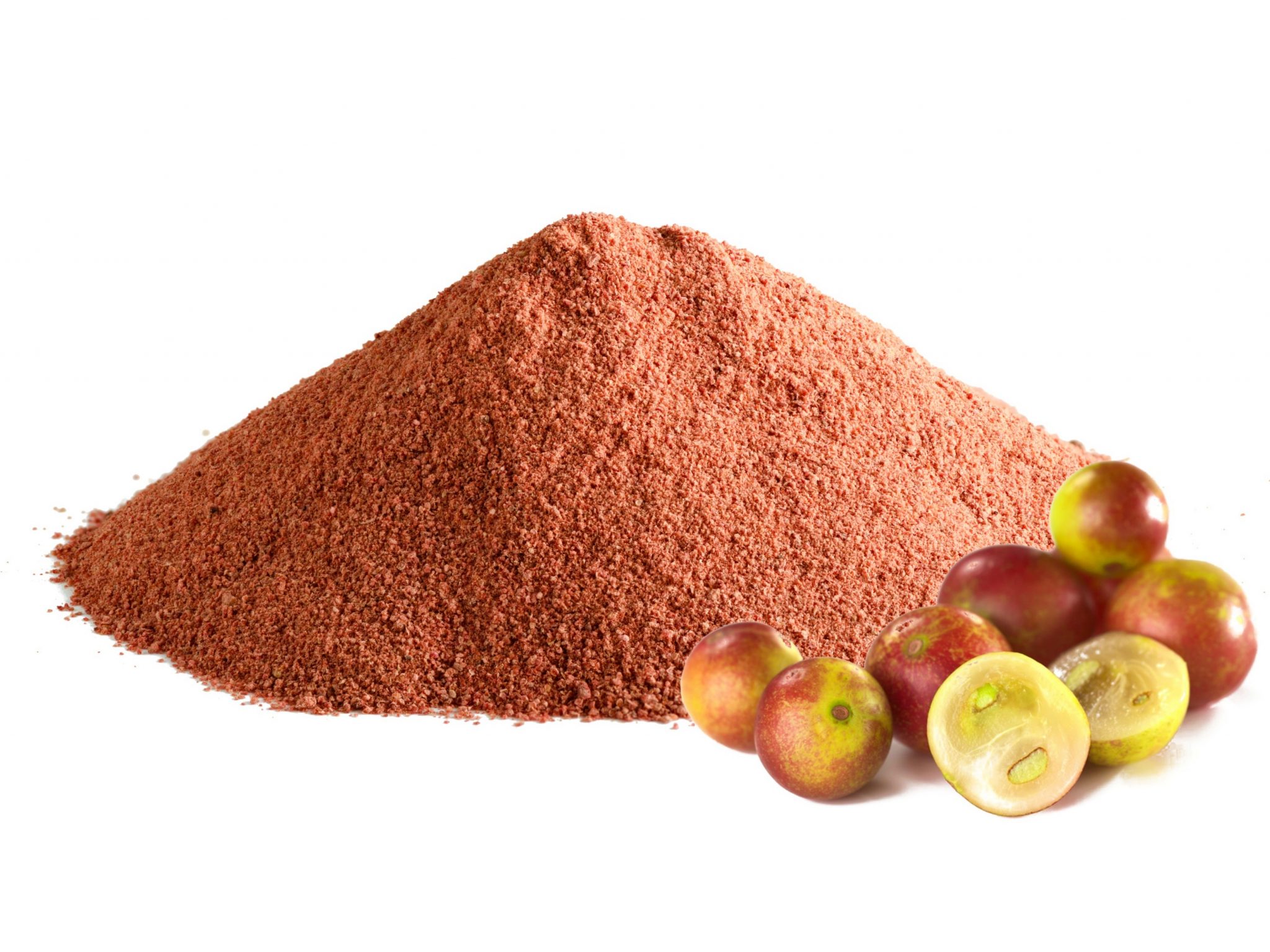NXTDRIED Camu Camu might be the highest source of Vitamin C