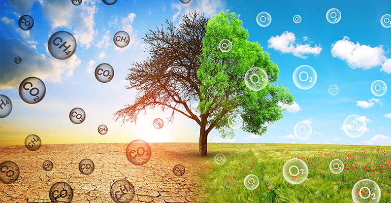 Healthy eating guidelines could help EU hit the methane reduction targets