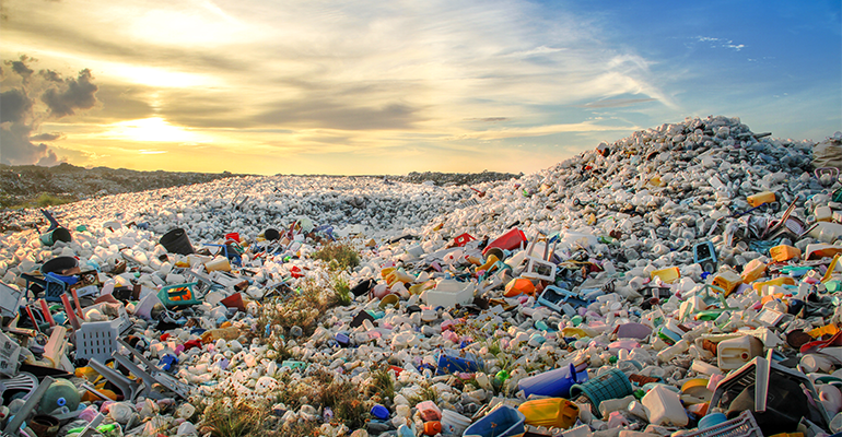 Bacteria can be used to convert plastic waste into vanilla flavouring