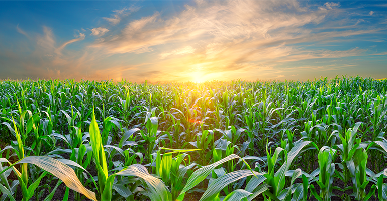 Farm biologicals can make our farming system more sustainable: Rabobank