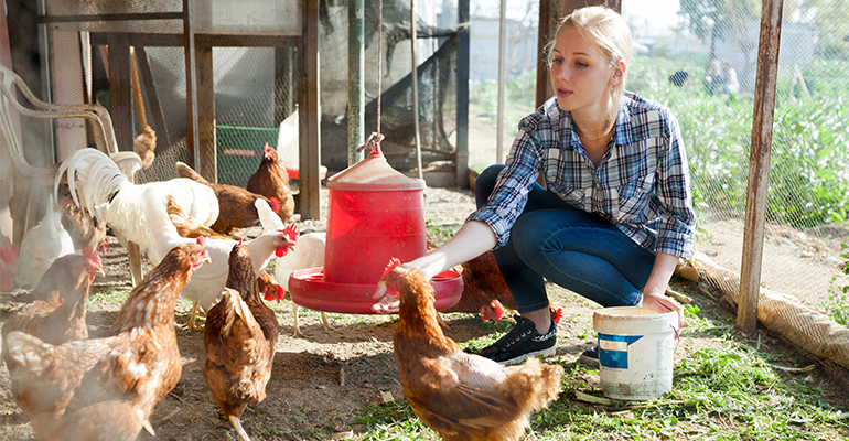 Tackling the rise of antimicrobial resistance