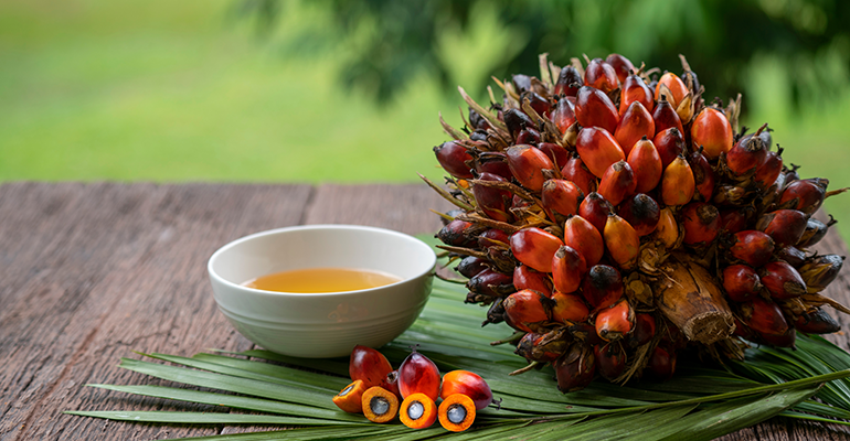 Sweden’s Green-On develops palm oil alternative from gas and water