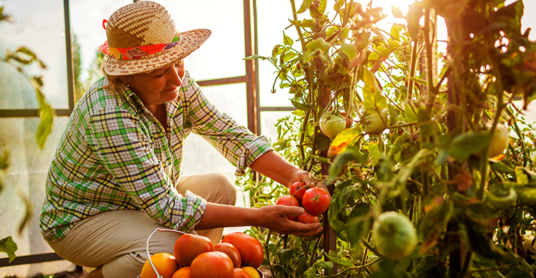 Brands and retailers find ways to reduce food waste