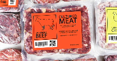 Innovation in the cell-cultured meat sector