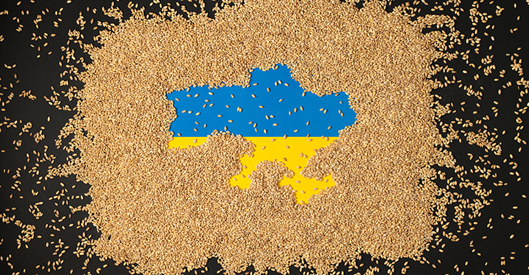 Ukraine war, shortages, and rising prices affecting consumer food behaviour, survey finds