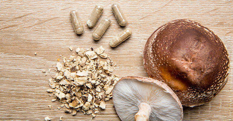 Functional fungi: The global rise of mushrooms