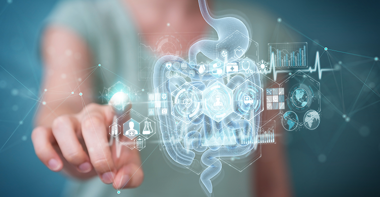 Dietary fibre releases centre on gut health and personalisation in 2023