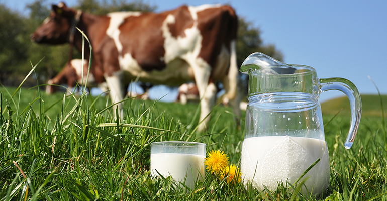 Strategic priorities: US dairy executives focus on growth, resilience, and sustainability in 2023