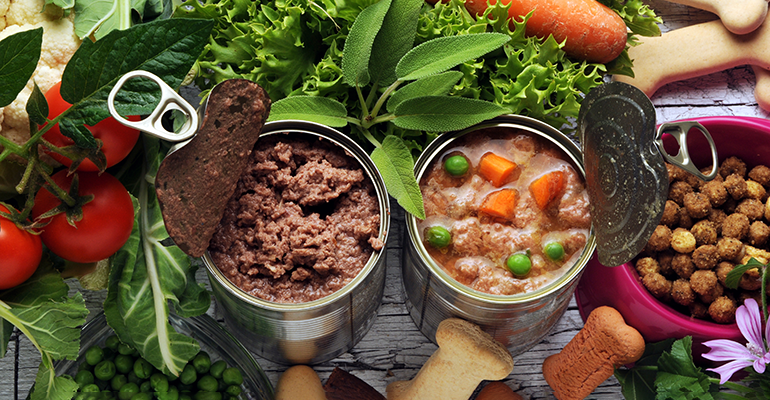 Plant-based could be the way forward in pet food