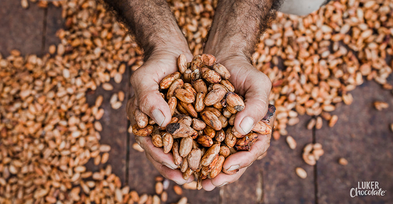 Sustainability commitments lead more LatAm brands to B Corp