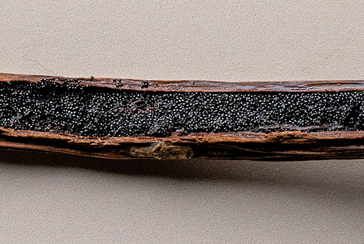 Data driven vanilla: How technology is transforming a classic global flavour / by Fi Global insights