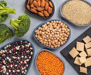 Plant-Based Developments