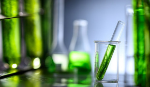 RNP participates in several research and development projects at an International level