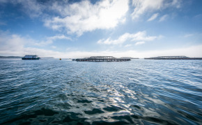 Bioriginal & POS Launch Sustainable Omega-3 Line