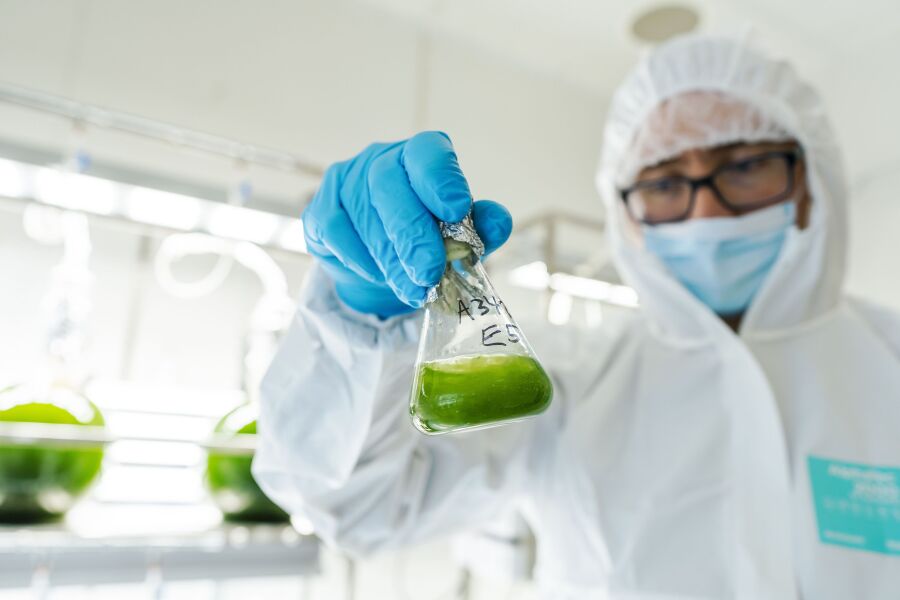 Double algae power for better health