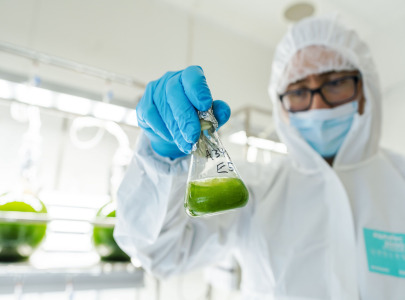 Double algae power for better health