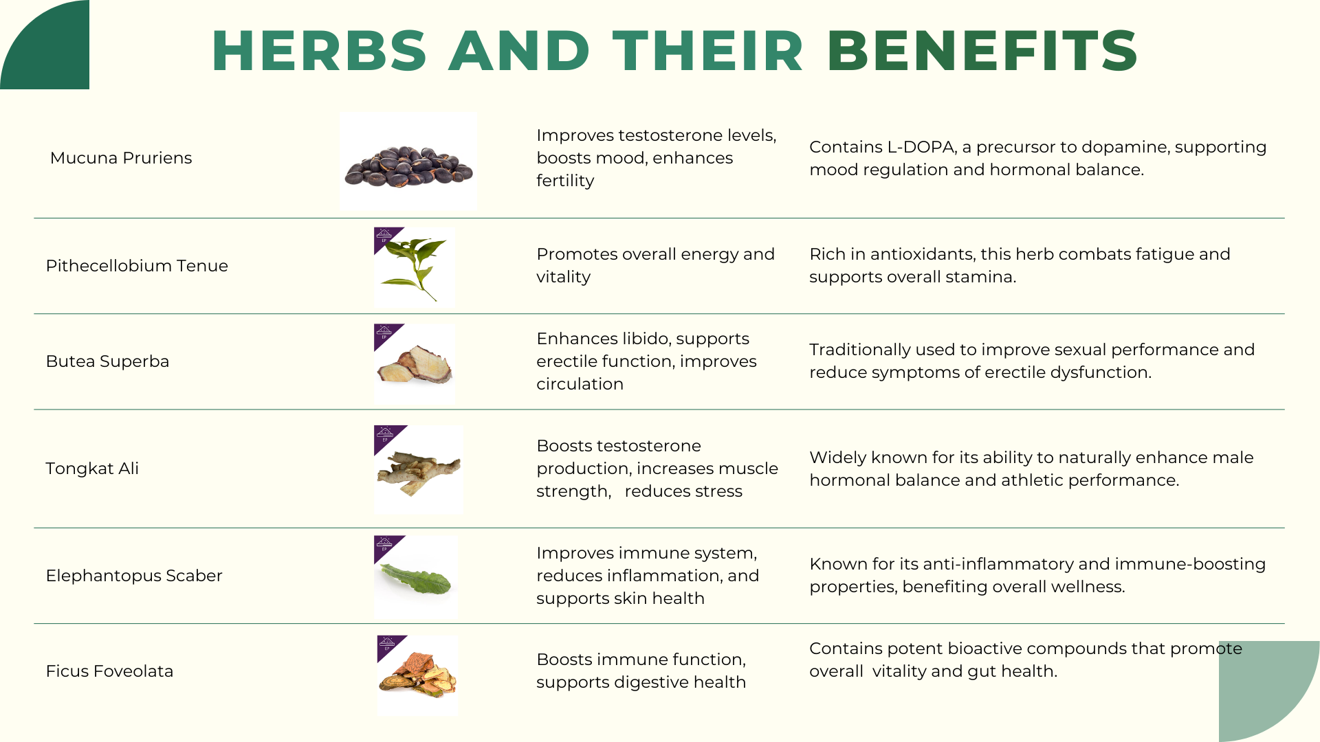 Herbs for Male Health: Exploring Nature's Benefits