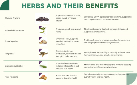 Herbs for Male Health: Exploring Nature's Benefits