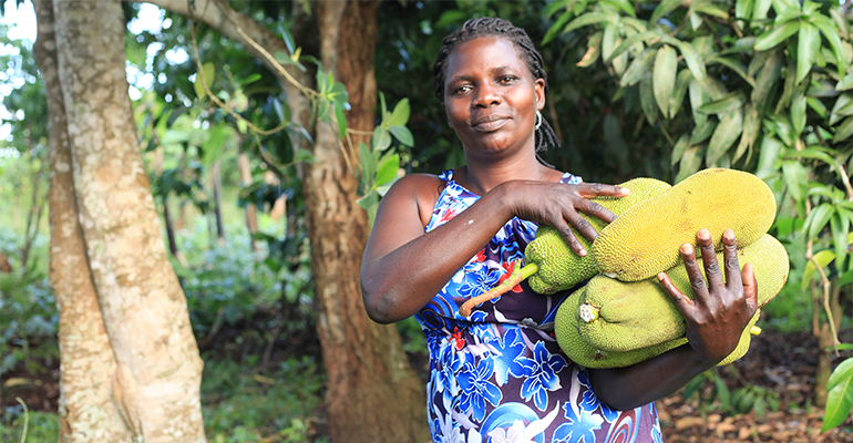 Low-hanging fruit for the blended meat industry? Jackfruit’s potential as a high-fibre, clean-label ‘hybrid’ ingredient
