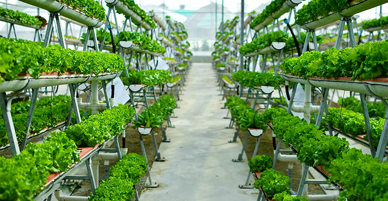 Singapore explores farmland-free food production