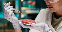 China ramps up cultivated meat research with new innovation base